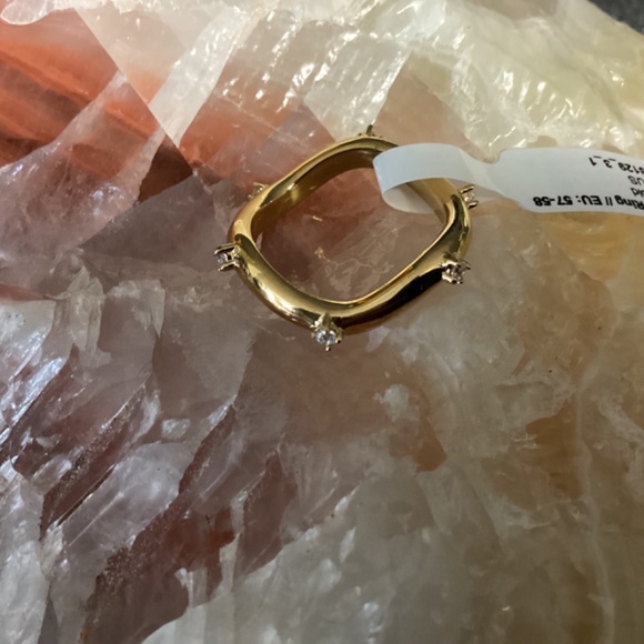 NWT Hey Harper Limited Edition Monsanto Ring - Picture 3 of 9